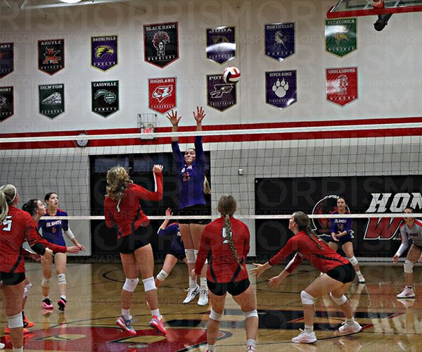 black hawk and albany volleyball 2025