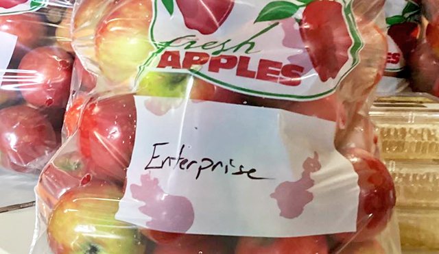 Turkey Ridge Organic Orchard