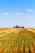 Farm Harvesting
