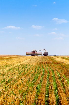 Farm Harvesting