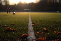 soccer stock