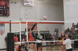 argyle volleyball
