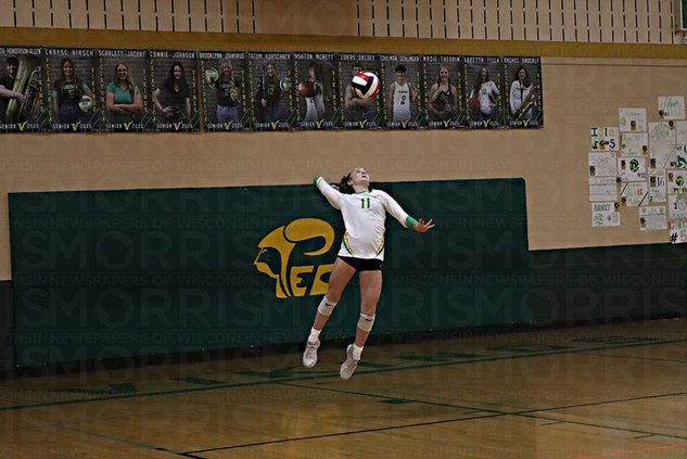 Pec VB 10-2