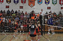 Argyle VB 10-2