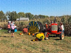 Harvest Fest