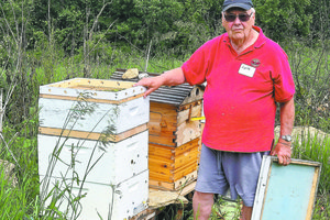 Steuben Beekeeper