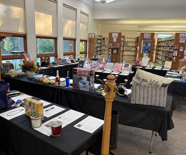 albany library
