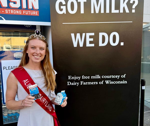 alice in dairyland
