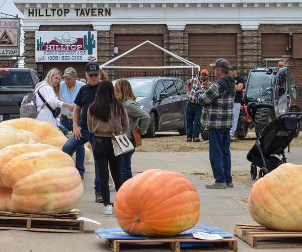 pumpkin growers