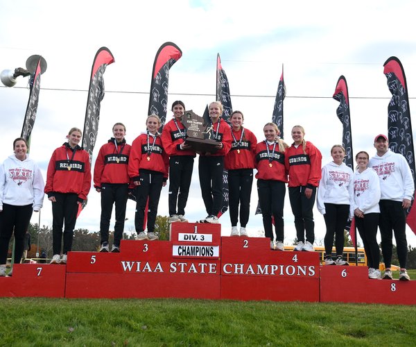 Darlington  XC Trophy Stand