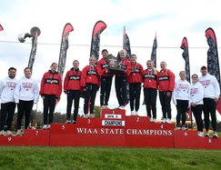 Darlington  XC Trophy Stand