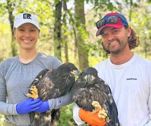 Cornelius Ruhs, Dehnert in Avoca