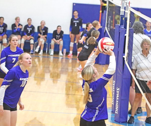 Addison Davidson co-POY