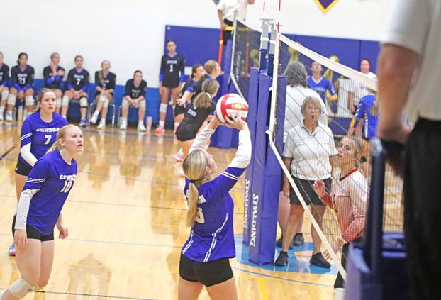 Addison Davidson co-POY