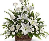 Katherine ‘Kate’ Elizabeth (Jenness) Lloyd