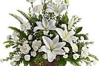 Katherine ‘Kate’ Elizabeth (Jenness) Lloyd