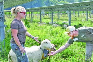 CCTF_Marie Raboin and Sameer Kharbush with Goats