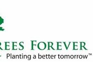 Trees Forever