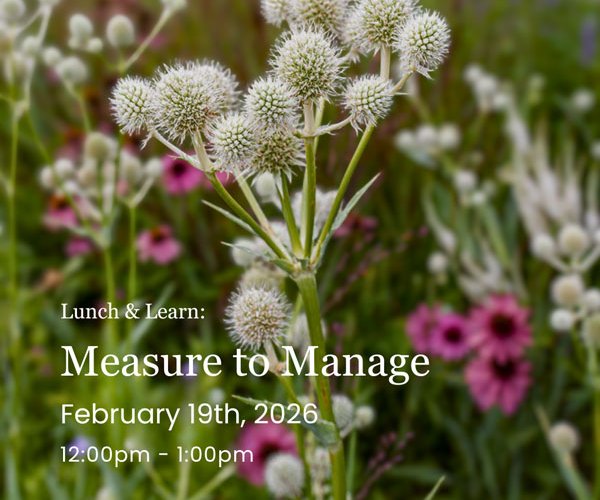 Lunch & Learn at Three Waters Reserve: Measure to Manage