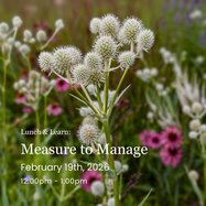 Lunch & Learn at Three Waters Reserve: Measure to Manage