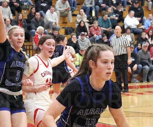 Space Stallions handle Cards