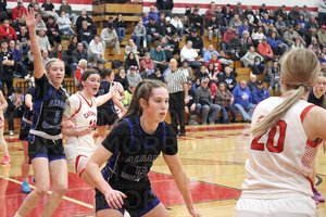 Space Stallions handle Cards