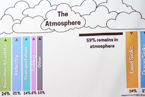 Carbon Sequestration