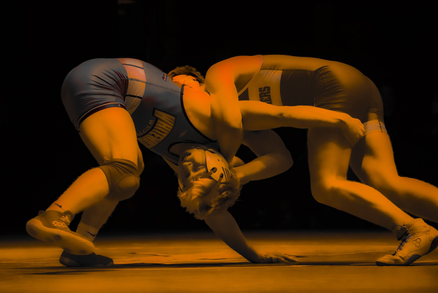 Conference champs crowned before sectionals