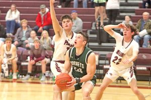 Ashton Landt Cooper Lomas Brice Krachey at PdC