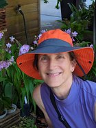 Local business owner announces candidacy for Green County District 15 Supervisor