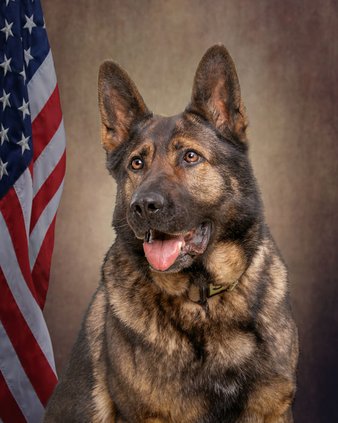 Stephenson Co. K9 officer receives donation for body armor