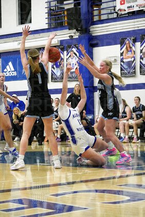 Space Stallions return to sectionals