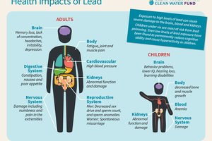 Monroe trying to get the lead out