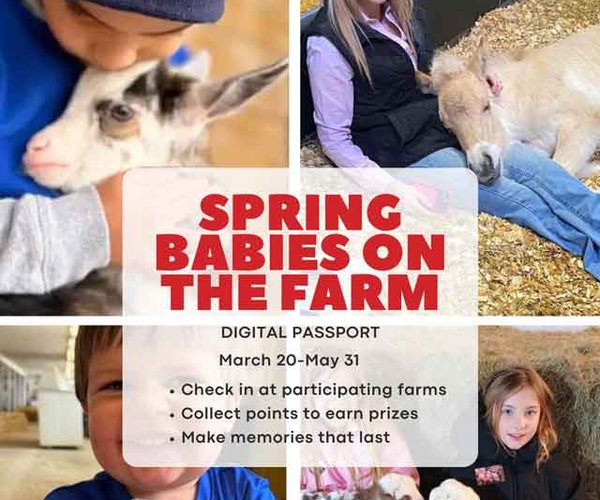 WATA launches new digital passport experience: Spring Babies on the Farm