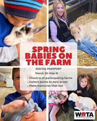 WATA launches new digital passport experience: Spring Babies on the Farm