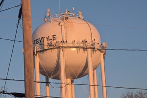 water tower turkey vulture