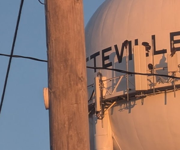 water tower turkey vulture