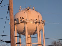 water tower turkey vulture
