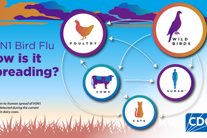 DATCP cancels bird shows amid avian flu outbreak