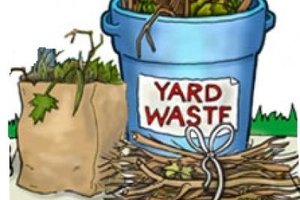 City announces yard waste drop off, leaf pickup, dumpster day
