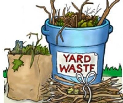 City announces yard waste drop off, leaf pickup, dumpster day