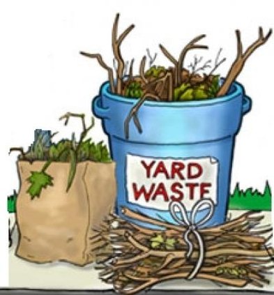 City announces yard waste drop off, leaf pickup, dumpster day