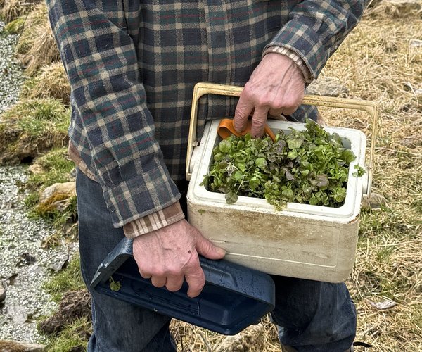 Kenneth E. Carpenter