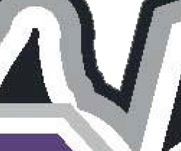 River Ridge Timberwolves Logo 2026