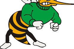 Wauzeka-Steuben Hornets Logo 2026