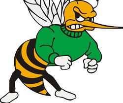 Wauzeka-Steuben Hornets Logo 2026
