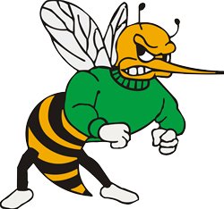 Wauzeka-Steuben Hornets Logo 2026