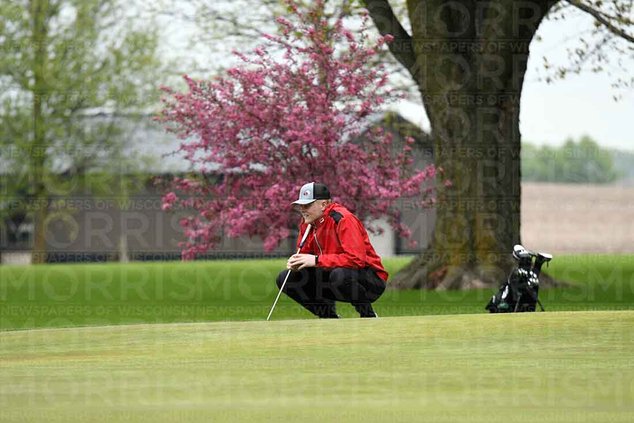Darlington golf