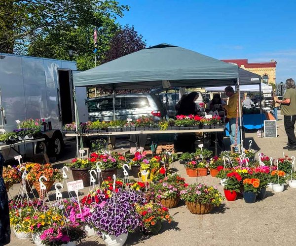 Farmer's Market