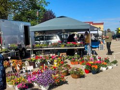 Farmer's Market